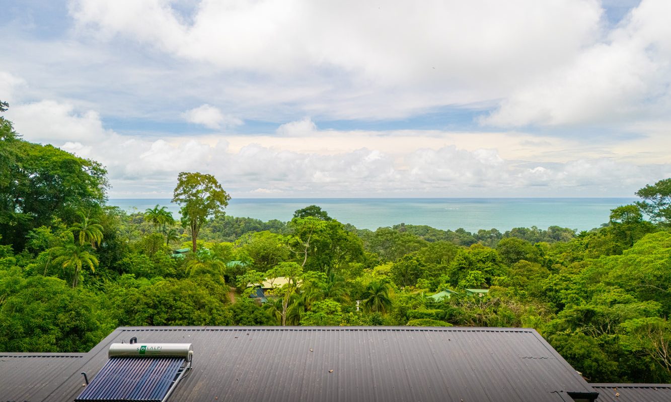 Ceiba Hermosa