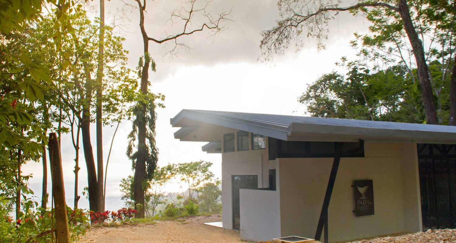 Pura Uvita